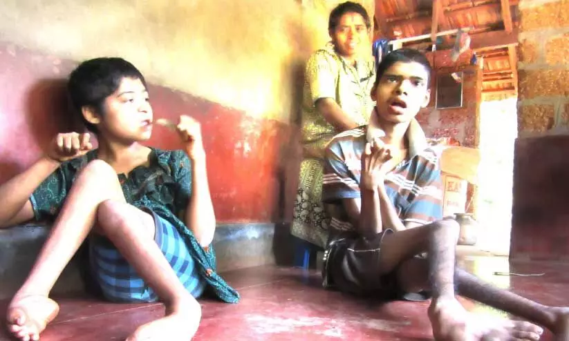 environment and economy