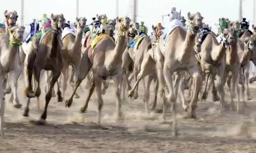 പ​തി​മൂ​ന്ന് ഭാ​ഷ​ക​ളി​ൽ ഒ​ട്ട​ക​യോ​ട്ട ര​ഹ​സ്യ​ങ്ങ​ളു​മാ​യി ‘വാം’