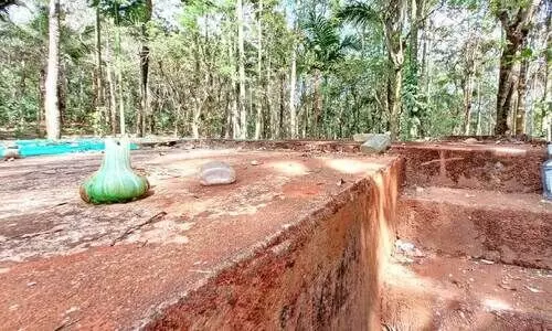 പു​ളി​ഞ്ഞാ​ൽ കു​ടി​വെ​ള്ള പ​ദ്ധ​തി​ക്ക് ഭീ​ഷ​ണി​യാ​യി സാ​മൂ​ഹി​ക​വി​രു​ദ്ധ​ർ