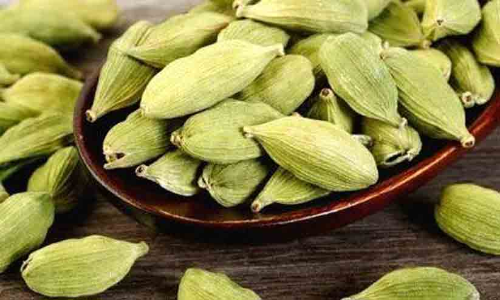 ഏലം വിലയിടിവ്: ഹൈറേഞ്ചിൽ മാന്ദ്യം