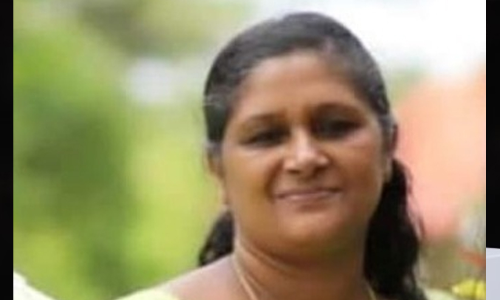 വയനാട്ടിൽ കാറിടിച്ച് കാൽനടയാത്രക്കാരി മരിച്ചു