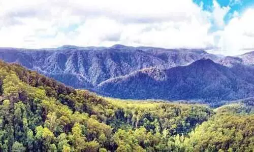 നിലമ്പൂർ ഉൾക്കാടുകളിൽ ആദിവാസികൾ കുടിയിറക്ക് ആശങ്കയിൽ