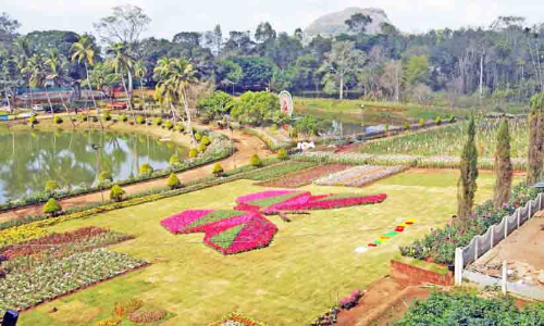 പൂക്കളുടെ ഉത്സവത്തിന് പുതുവത്സരത്തിൽ തുടക്കം