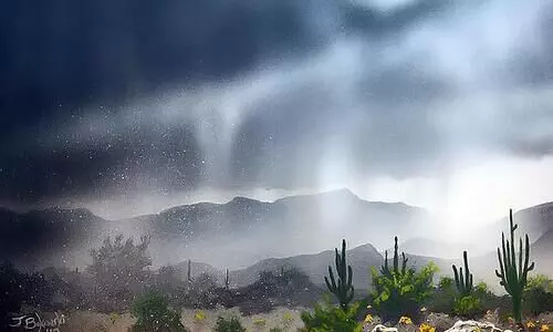 കൂടാര രാത്രി