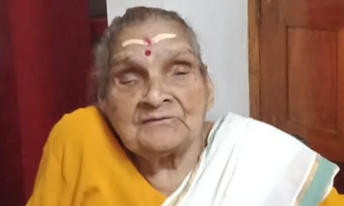 സി.ആർ നീലകണ്ഠന്റെ മാതാവ് നിര്യാതയായി