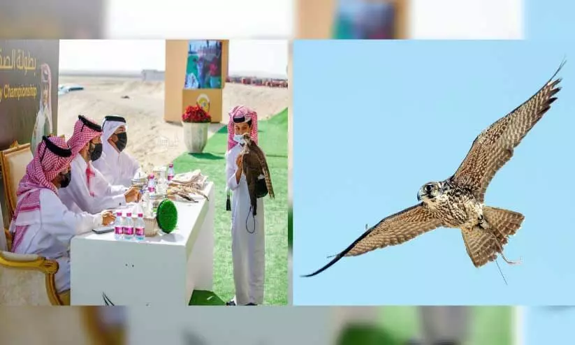 ഇ​ന്റ​ർ​നാ​ഷ​ന​ൽ ഫാ​ൽ​ക്ക​ൺ​സ് ഫെ​സ്റ്റി​വ​ൽ ഇ​ന്നു​മു​ത​ൽ