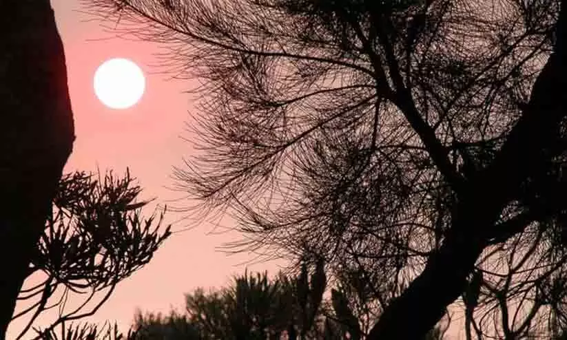 2023- പുതുവത്സര പ്രതീക്ഷയിൽ വയനാട്; ഇവിടെ ഇനിയെങ്കിലും മാറ്റമുണ്ടാകുമോ?