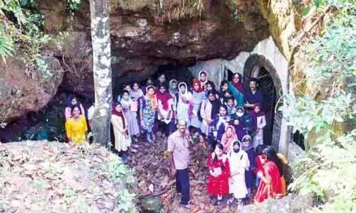 Students search for Tanurs history