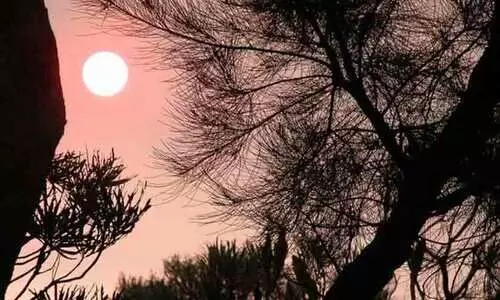 2023- പുതുവത്സര പ്രതീക്ഷയിൽ വയനാട്; ഇവിടെ ഇനിയെങ്കിലും മാറ്റമുണ്ടാകുമോ?