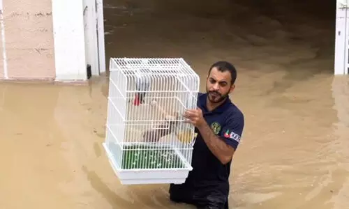 അതിജീവനത്തിന്റെ ഫുജൈറ പാഠങ്ങൾ അതിജീവനത്തിന്റെ ഫുജൈറ പാഠങ്ങൾ