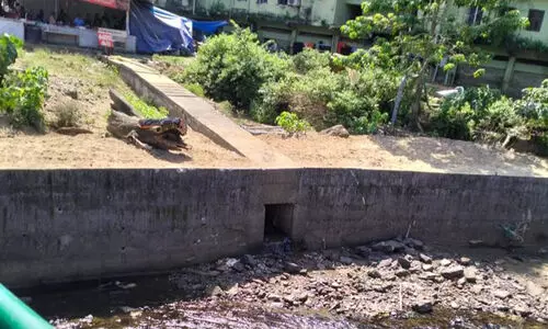 ശബരിമല തീർത്ഥാടകർ കുളിക്കുന്ന പമ്പയിലേക്ക് ഹോട്ടൽ മാലിന്യം ഒഴുക്കി വിടുന്നെന്ന് പരാതി