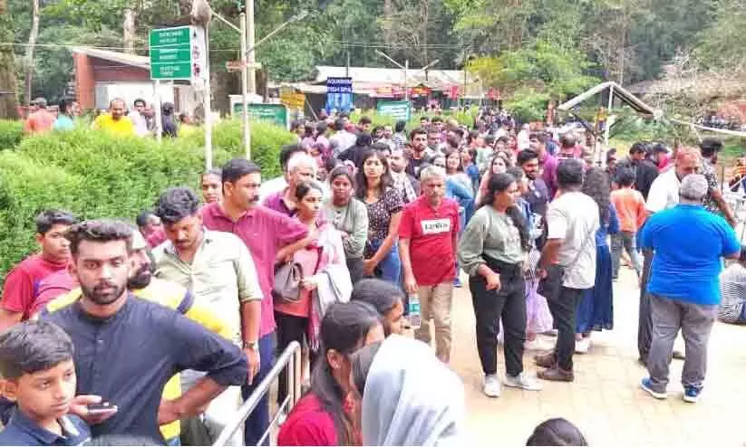 പുതുവർഷം: തിരക്കിലമർന്ന് വയനാട്ടിലെ വിനോദ സഞ്ചാര കേന്ദ്രങ്ങൾ പുതുവർഷം: തിരക്കിലമർന്ന് വയനാട്ടിലെ വിനോദ സഞ്ചാര കേന്ദ്രങ്ങൾ