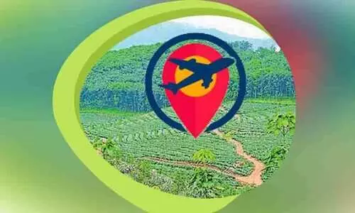 forest land forest land