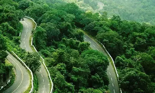 ചുരം റോഡ് വീതി കൂട്ടി ബലപ്പെടുത്താത്തതിനു പിന്നിൽ നിഷിപ്ത താല്പര്യമെന്ന് പ്രകൃതി സംരക്ഷണ സമിതി