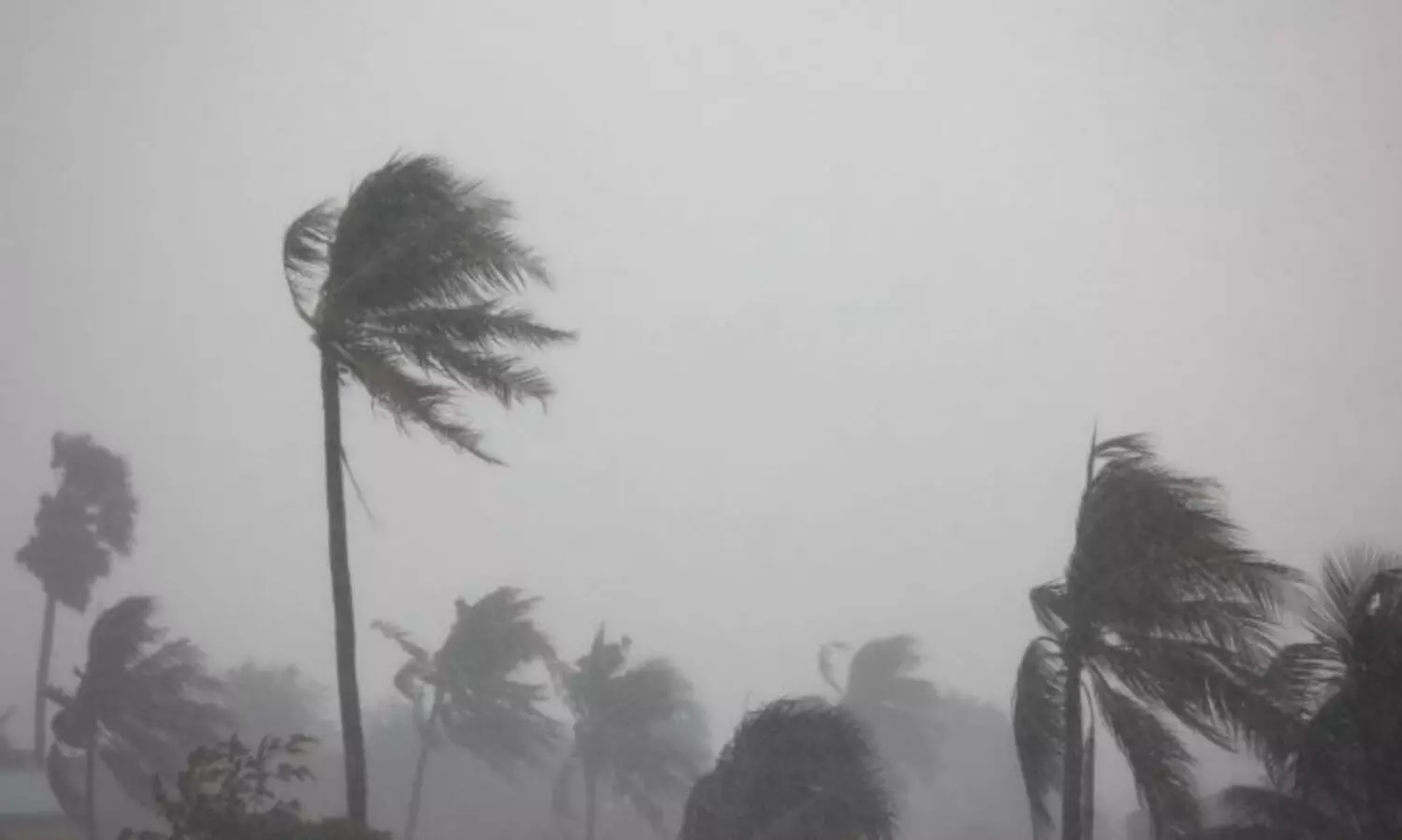 ശക്തമായ കാറ്റിനെ നേരിടാം; പൊതുജാഗ്രതാ നിർദേശങ്ങൾ അറിയാം