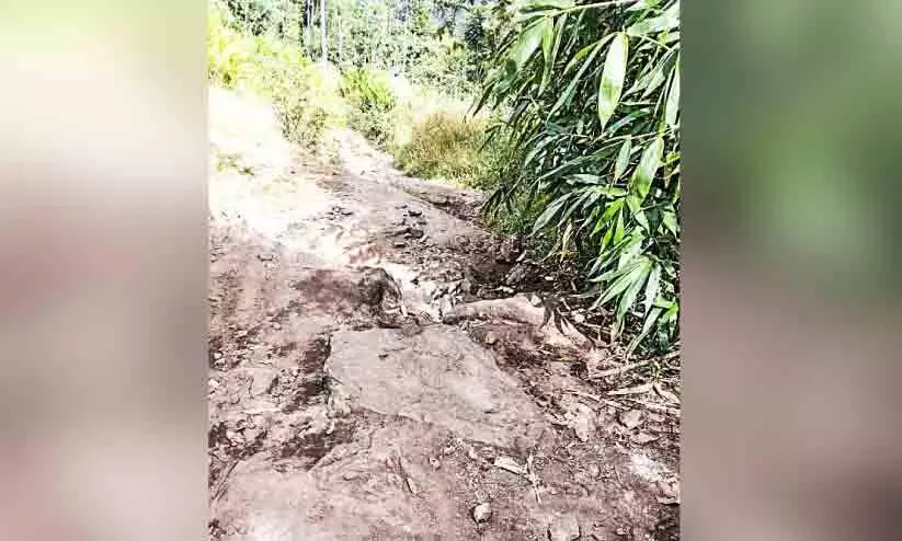 വികസനം എത്തിനോക്കാതെ ആദിവാസി ഊരുകൾ വികസനം എത്തിനോക്കാതെ ആദിവാസി ഊരുകൾ