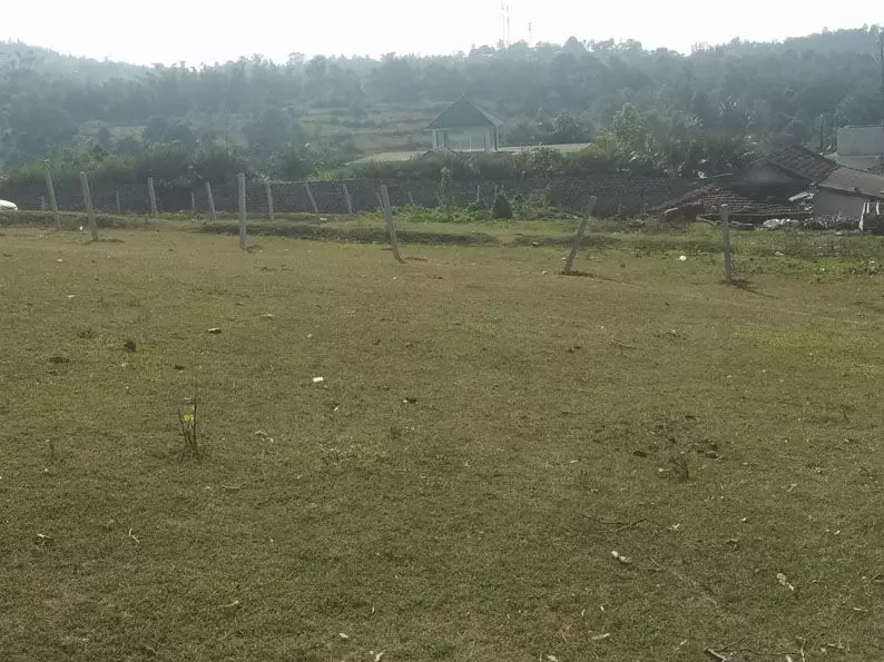 അട്ടപ്പാടി വരഗംപാടി ഊരിന് സമീപം വ്യാപക ഭൂമി കൈയേറ്റം: പരാതി നൽകിയിട്ടും നടപടിയില്ലെന്ന്