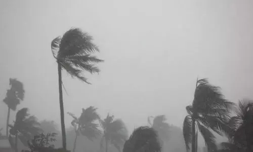 ശക്തമായ കാറ്റിനെ നേരിടാം; പൊതുജാഗ്രതാ നിർദേശങ്ങൾ അറിയാം