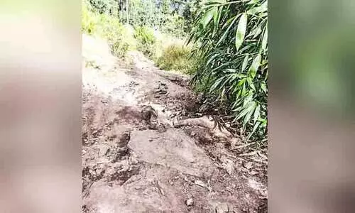 വികസനം എത്തിനോക്കാതെ ആദിവാസി ഊരുകൾ