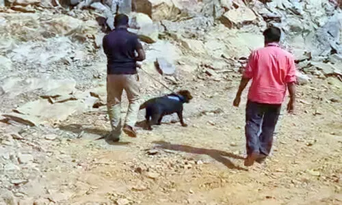 ജ​ന​ങ്ങ​ളെ ഭീ​തി​യി​ലാ​ഴ്ത്തി അ​ർ​ധ​രാ​ത്രി സ്ഫോ​ട​വ​സ്തു ഉ​പ​യോ​ഗി​ച്ച് ക​രി​ങ്ക​ൽ​ഖ​ന​നം