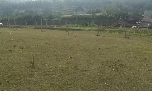 അട്ടപ്പാടി വരഗംപാടി ഊരിന് സമീപം വ്യാപക ഭൂമി കൈയേറ്റം: പരാതി നൽകിയിട്ടും നടപടിയില്ലെന്ന്