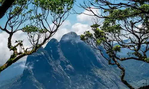 അഗസ്ത്യാർകൂടം കൊടുമുടി കയറാൻ ബുക്കിങ് ആരംഭിക്കുന്നു