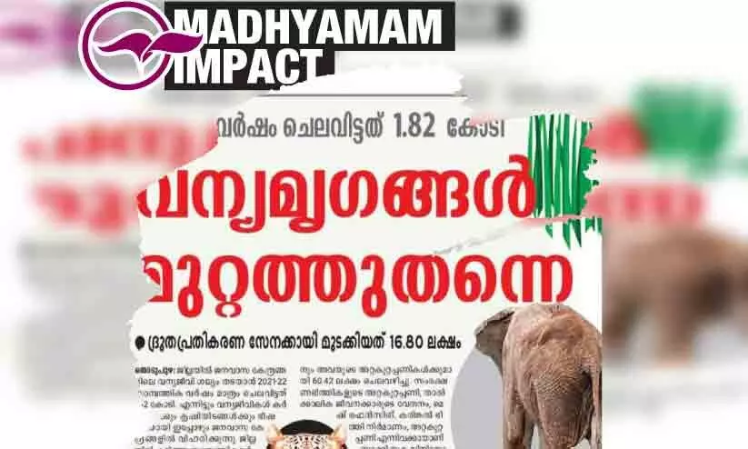 വന്യമൃഗശല്യം; നോഡൽ ഓഫിസറെ നിയമിച്ചു