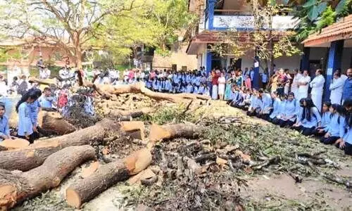 സ്‌കൂൾമുറ്റത്തെ തണൽമരങ്ങൾ മുറിച്ചുമാറ്റിയ സംഭവം; പ്രതിഷേധക്കടൽ തീർത്ത് വിദ്യാർഥികളും നാട്ടുകാരും