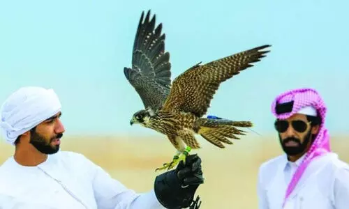 Falcons and Hunting Festival