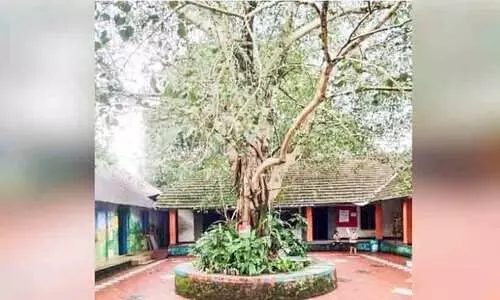 പ്രകൃതിയെ തൊട്ട് അറിവിനെ പുൽകി ഒരു മുത്തച്ഛൻ സ്കൂൾ