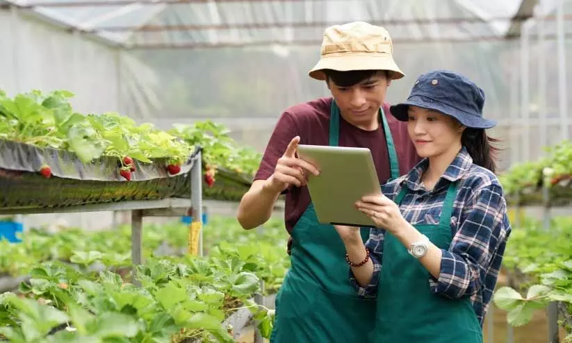 agri business management