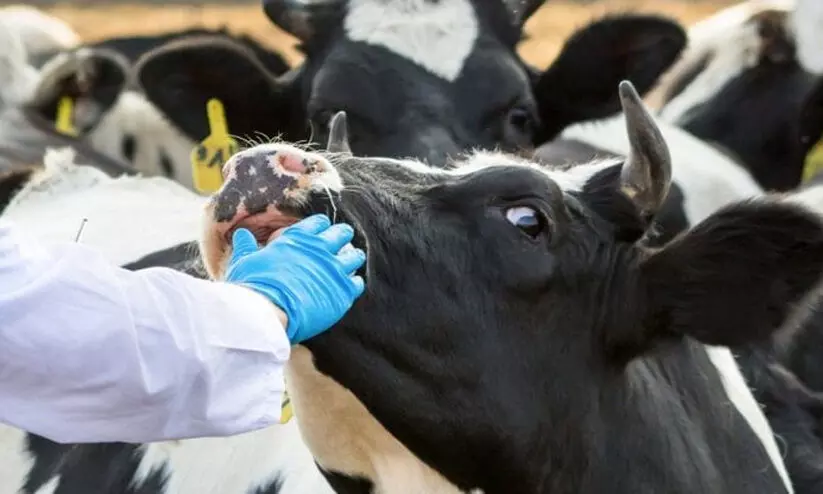 മൃ​ഗ​ചി​കി​ത്സ സം​വി​ധാ​ന​ങ്ങ​ള്‍ ഇ​നി വീ​ട്ടു​പ​ടി​ക്ക​ല്‍; ജി​ല്ല​യി​ല്‍ മൊ​ബൈ​ല്‍ വെ​റ്റ​റി​ന​റി യൂ​നി​റ്റ്