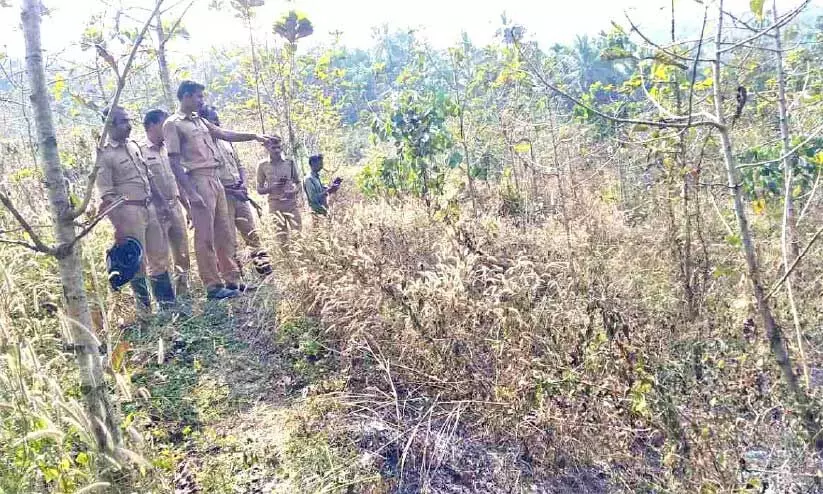 മേപ്പയൂർ മീറോട് മലയിൽ വൻ അഗ്നിബാധ