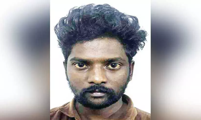 വയോധികയെ പീഡിപ്പിച്ച് മാല കവർന്ന പ്രതി പിടിയിൽ