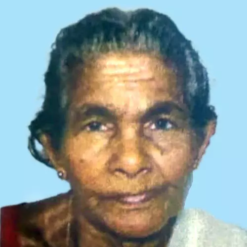 കു​ഞ്ഞി​കാ​ളി