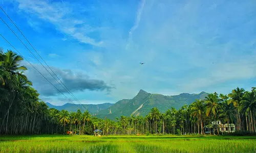 പരിസ്ഥിതിലോല മേഖല: കരുവാരകുണ്ടിൽ മുന്നൂറോളം ഏക്കർ