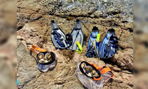 നിരോധിത കാലയളവിലെ മീൻപിടിത്തം; രണ്ടുപേർ പിടിയിൽ നിരോധിത കാലയളവിലെ മീൻപിടിത്തം; രണ്ടുപേർ പിടിയിൽ