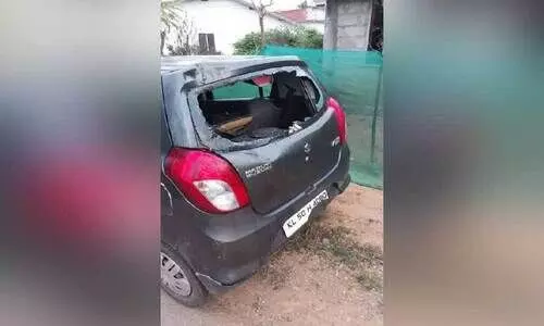 ഒറ്റയാൻ വീണ്ടും ഭീതിയും നാശവും വിതക്കുന്നു ഒറ്റയാൻ വീണ്ടും ഭീതിയും നാശവും വിതക്കുന്നു