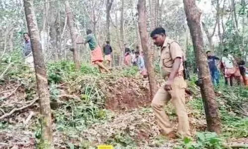 കടുവ കണിച്ചാറിലുമെത്തി; നടുക്കത്തിൽ മലയോരം