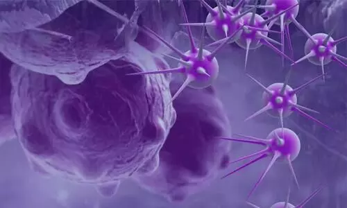 Cancer Vaccine Found Efficacious Safe in Killing