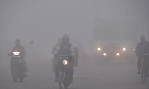 delhi winter 098789786 delhi winter 098789786