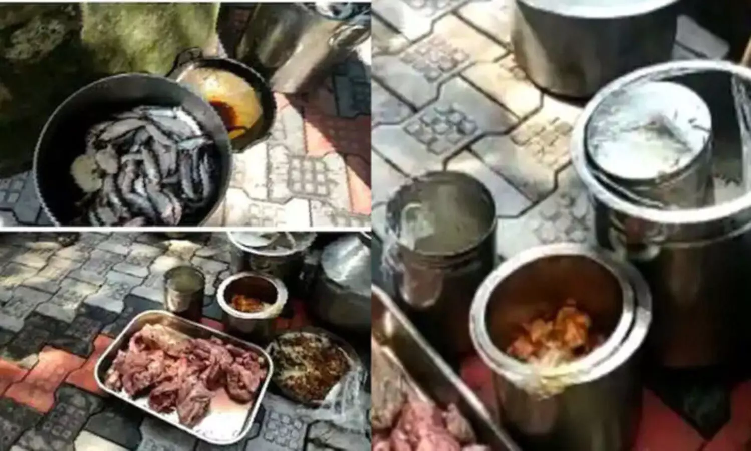 സുരക്ഷിത ഭക്ഷണം: വ്യാപകമായ പരിശോധന നടത്തി