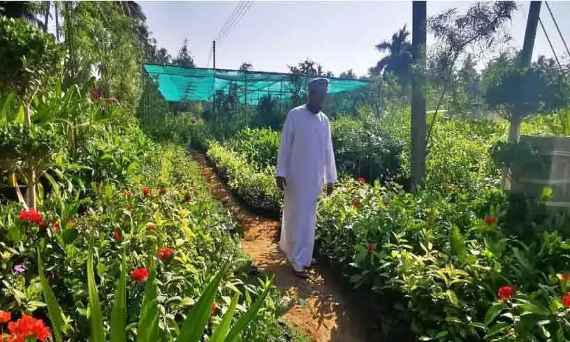 Inspection of Agricultural Nurseries Inspection of Agricultural Nurseries