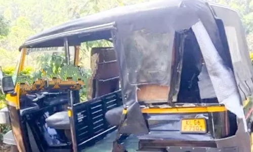 വീണ്ടും പടയപ്പ; ഓട്ടോ തകർത്തു