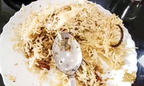 ബിരിയാണിയിൽ ചത്ത പഴുതാര