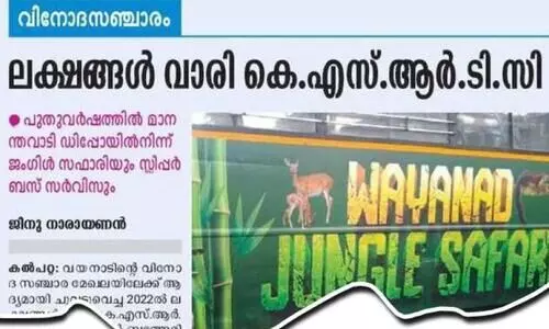 Morning Jungle Safari