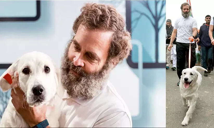 Rahul Gandhi with luna