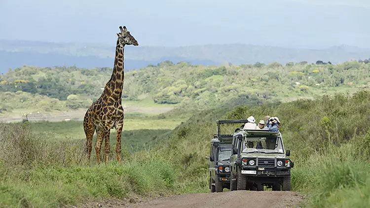 അക്കുനാ മട്ടാട്ട: താൻസാനിയയിലേക്ക് പോരുന്നോ? അക്കുനാ മട്ടാട്ട: താൻസാനിയയിലേക്ക് പോരുന്നോ?