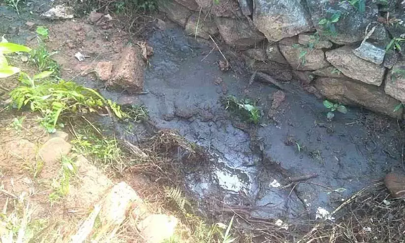 തോട്ടിലും വയലിലും കക്കൂസ് മാലിന്യം തള്ളി