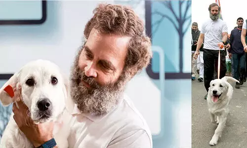 Rahul Gandhi with luna